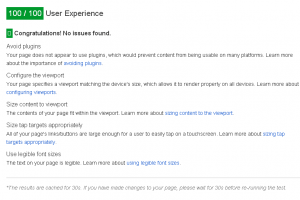 Google PageSpeed Insights Mobile Friendly Test Tool