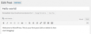 WordPress Add-Edit Post Visual and Text buttons