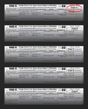 IRS Tax Form 1042-S Copy A-B-C-D-E Excerpts